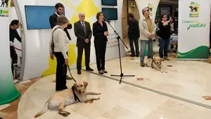 Los perros guía de la ONCE celebran 25 años al lado de los ciudadanos de Navarra