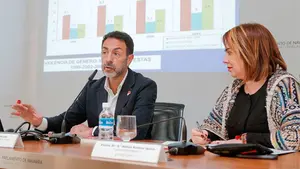 Un experto relaciona la violencia de g&eacute;nero con una reacci&oacute;n del machismo ante la igualdad