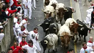 Marcados por el encierro: historia de cinco supervivientes a las cornadas