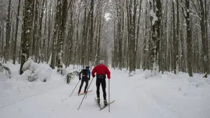 Vuelve el esquí a Navarra: ya hay fecha para el inicio de la nueva temporada en Larra-Belagua