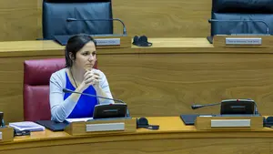 Belarra (Podemos) asegura que los Centros de Internamiento para Extranjeros son "a todos efectos una cárcel"