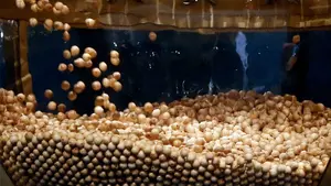 La suerte de la Bonoloto se pone de parte de Olite y entrega un premio de 200.000 euros a un vecino