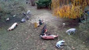 Arrollan y tiran al suelo buena parte de las figuras del bel&eacute;n gigante de la Taconera de Pamplona