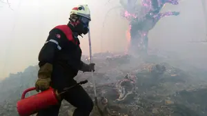 Los bomberos tienen casi controlado el incendio declarado en Arantza