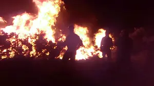 La mejora de la meteorología podría permitir extinguir el incendio de Arantza en las próximas horas