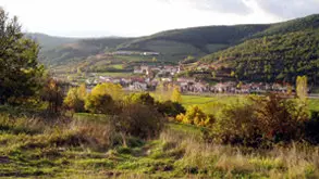 Un joven herido al ser alcanzado por una bala rebotada mientras cazaba en Urd&aacute;niz