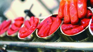 Macrooferta de empleo en Navarra: se buscan 80 trabajadores en la industria agroalimentaria