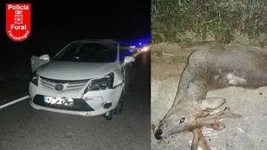 La noche del corzo: tres accidentes sin heridos en Arre, Fitero y Viana