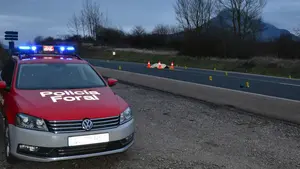 Piden ayuda para encontrar al coche que ha matado a un chico de 19 años y ha huido en Etxarri-Aranatz