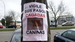 Carteles contra las heces de perros colocados en Pamplona