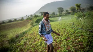 Imágenes del día a día en Sri Lanka e India por Pablo Lasaosa