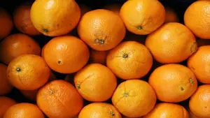 Seis detenidos por robar 175.000 kilos de naranjas en Valencia