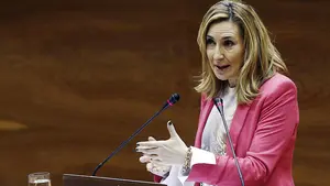 Beltrán cree que la sentencia "más correcta" sobre la ikurriña es que "se puso con voluntad de hacer fraude de ley"