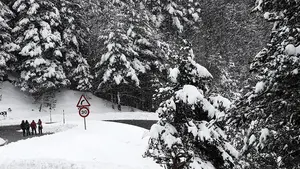 El Gobierno de Navarra pide precaución ante las nevadas: "Hay que estar atentos porque el temporal llegará"