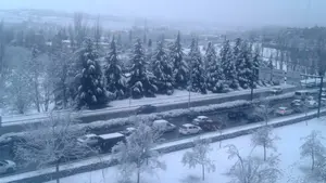 Retrasos en todas las líneas de transporte urbano por la intensa nevada