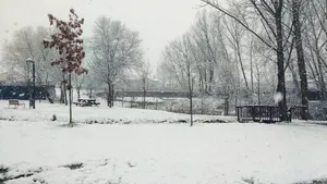 El temporal de Nieve en Navarra, en im&aacute;genes