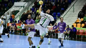 Últimos minutos del partido Helvetia - Guadalajara (29-27).