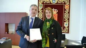 El juez de menores afea al Parlamento y al Defensor del Pueblo que duden de las garantías a los encarcelados por la paliza de Alsasua