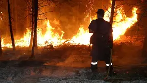 Comienza la campaña veraniega contra incendios en Navarra: más de 700 efectivos los combatirán