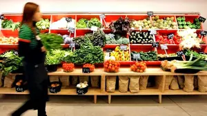 Indeminizan con casi 4.000 euros a una mujer tras resbalar con una hoja de lechuga en Navarra