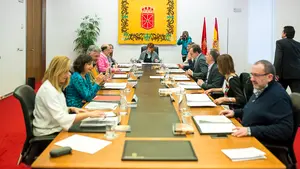 El Parlamento de Navarra apuesta por incluir a la comunidad gitana en la agenda política como "una prioridad"