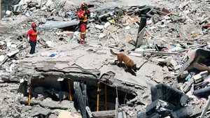 Quedan a&uacute;n cinco personas sin localizar tras el derrumbe en Los Cristianos (Tenerife)