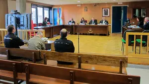 Condenado a 6 a&ntilde;os y medio de c&aacute;rcel por abusar durante 20 a&ntilde;os de su hija discapacitada