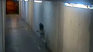 Ingresa en prisión un joven de 19 años acusado de 9 robos por el 'método del tirón' en Pamplona