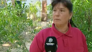 Una barrendera aficionada a las series de crímenes logra resolver un asesinato