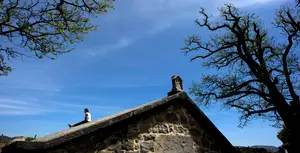 Piden limpiar la suciedad vertical del Casco Viejo de Pamplona