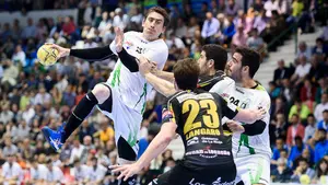 Helvetia cierra la temporada visitando al Naturhouse sin nada en juego