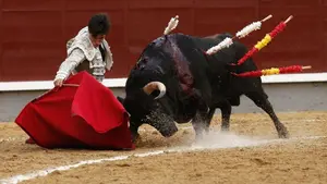 Los novilleros punteros pasan un agrio examen final en Las Ventas