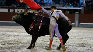 Insuficiente premio de una oreja al valor de Paco Ureña bajo la lluvia