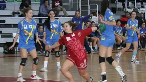 La Federaci&oacute;n Navarra celebrar&aacute; este s&aacute;bado la fiesta del balonmano en la calle