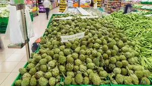 Tudela, reina de las alcachofas, vende 700 toneladas a través de Mercadona