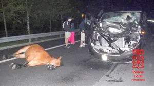 Una furgoneta atropella a una yegua en la A-15, a su paso por Larraun