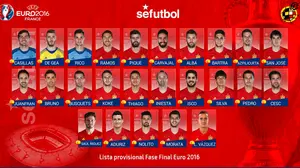 Del Bosque aparta a Fernando Torres y Diego Costa de la Eurocopa y convoca a V&aacute;zquez
