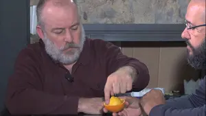 ¿Por qué se producen las mareas?