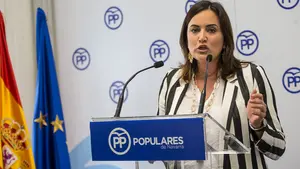 Sanz (PPN): "Es grotesco que Asirón planee declarar persona 'non grata' al ministro de Interior y respalde a presos de ETA" 