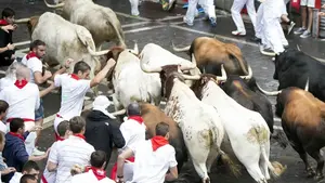 Un vídeo recordará las normas del encierro cada mañana de San Fermín en Casa Seminario