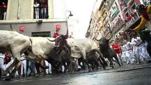 El lunes se aplicará el antideslizante para los encierros de San Fermín