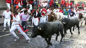 Así es el libro blanco de Bildu de los Sanfermines: ni un capítulo dedicado al toro