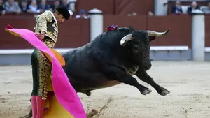 La terna se tambalea en una "victorinada" con dos toros m&aacute;s que aprovechables