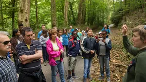 Un centenar de ni&ntilde;os en situaci&oacute;n de vulnerabilidad se divierten en una excursi&oacute;n al Se&ntilde;or&iacute;o de B&eacute;rtiz
