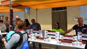 Las mejores imágenes del Día de la Cereza de Milagro