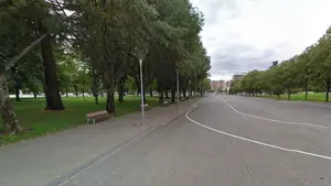 Un rayo parte literalmente y de arriba a abajo una secuoya en el parque de Antoniutti