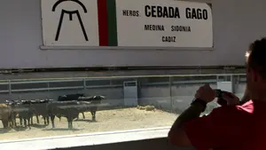 Los corrales del Gas abren sus puertas este sábado para ver los toros de San Fermín