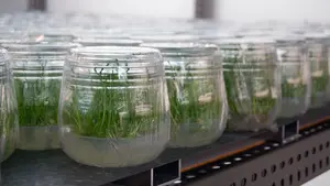 La empresa navarra Planasa es una de las '1000 empresas que más inspiran al desarrollo de Europa'