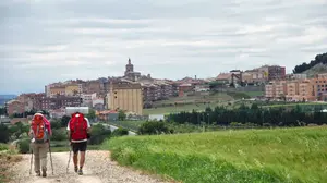 Premian a dos periodistas navarros por su contribución a la difusión del Camino de Santiago