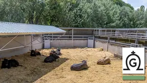 7 de julio, primer encierro